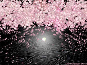 水面月と桜.jpg